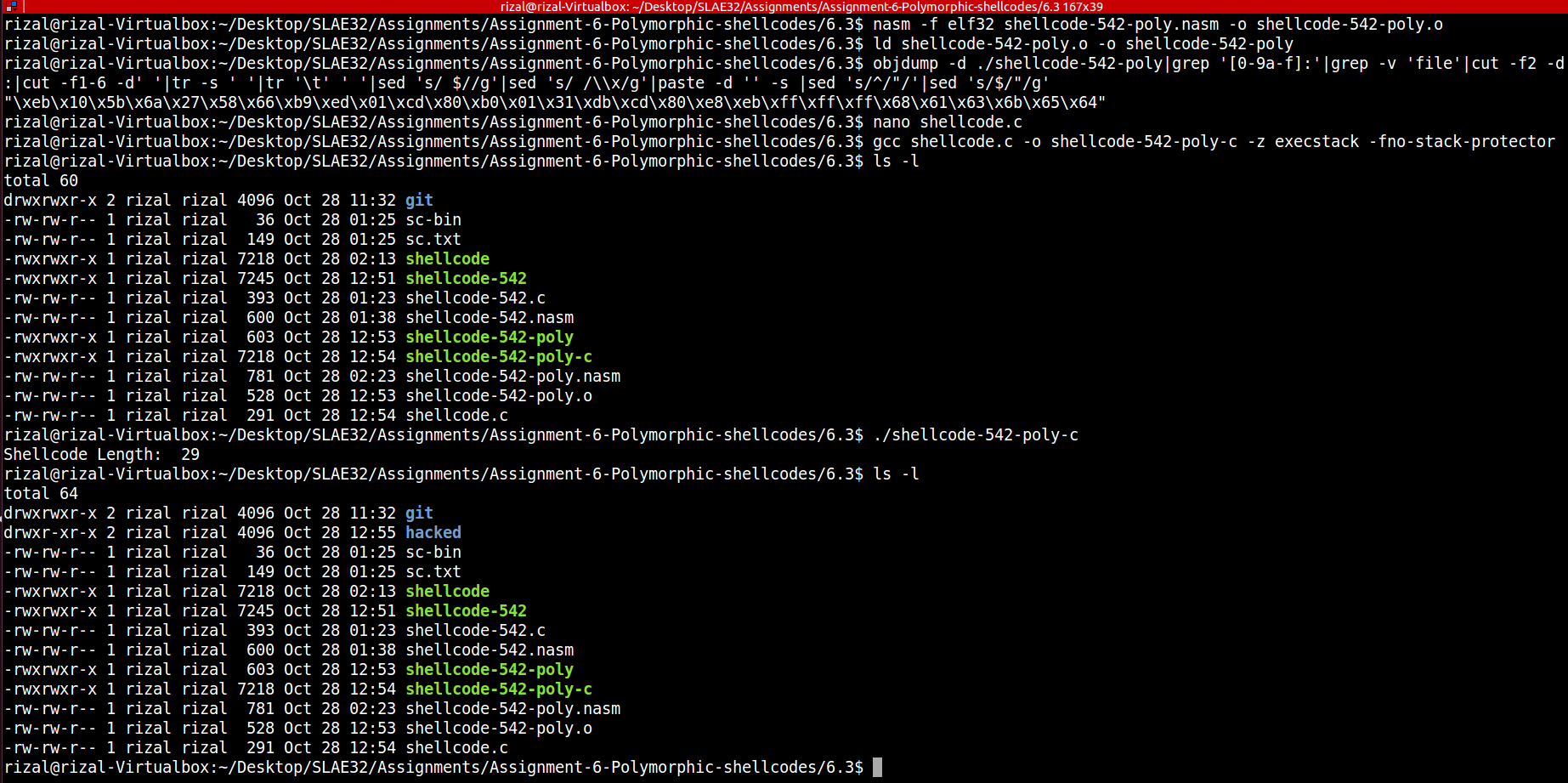 shellcode-542-poly