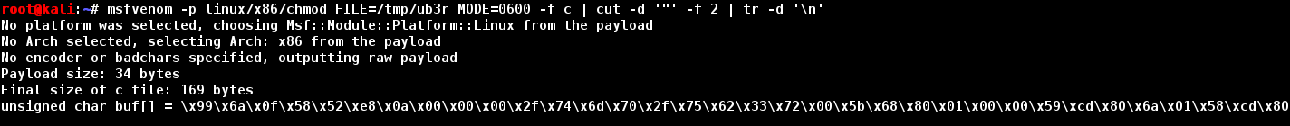 asn-5-chmod-payload-gen