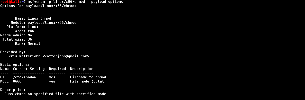 asn-5-chmod-payload-options-00