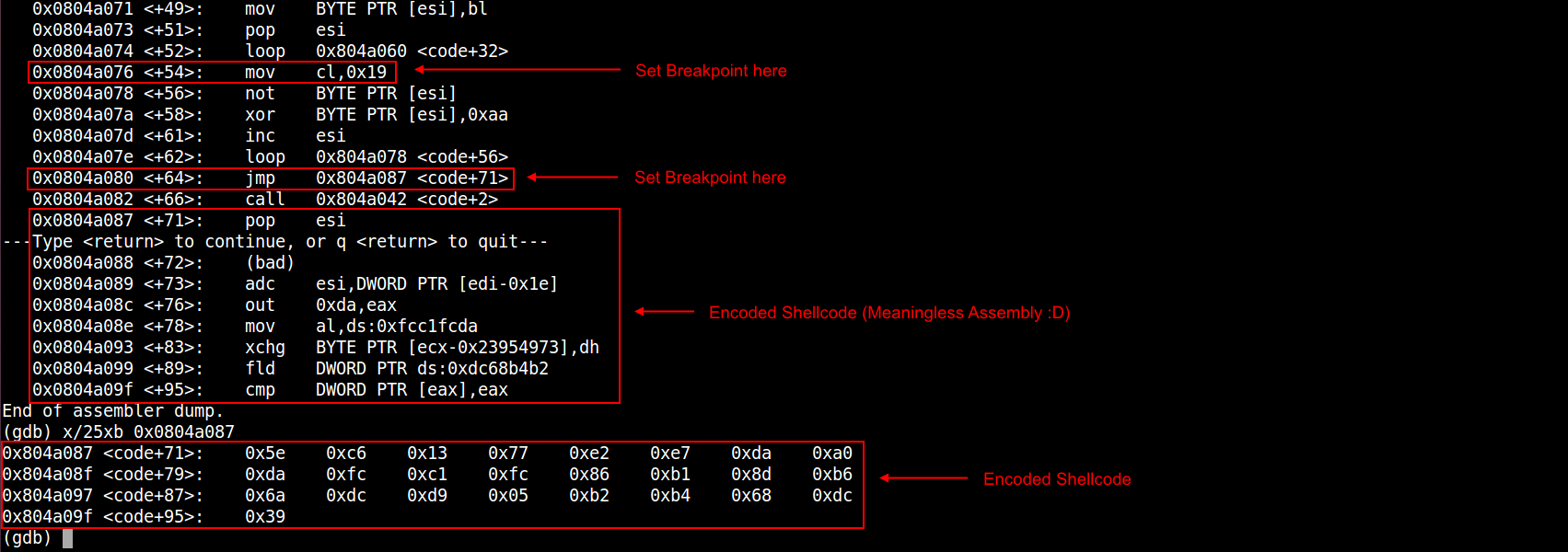 GDB Disassembly Breakpoints2